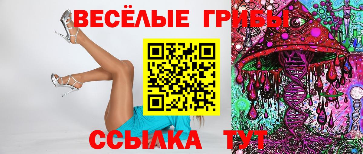 Галлюциногенные грибы Psilocybe Ярославль