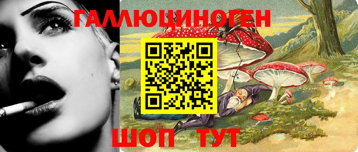 Галлюциногенные грибы Cubensis  Вход с VPN  Ярославль 